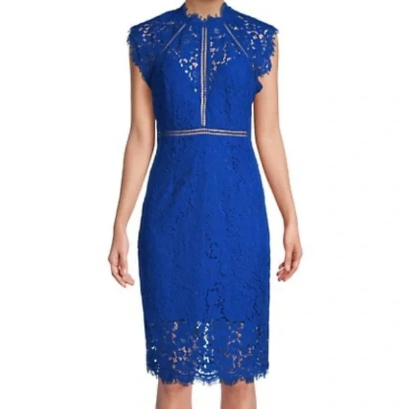 Bardot Lace Panel Dress Women's Dress Cobalt : 8